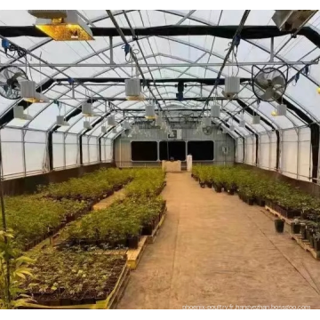 Film de privation légère Greenhouse pour la plantation médicale